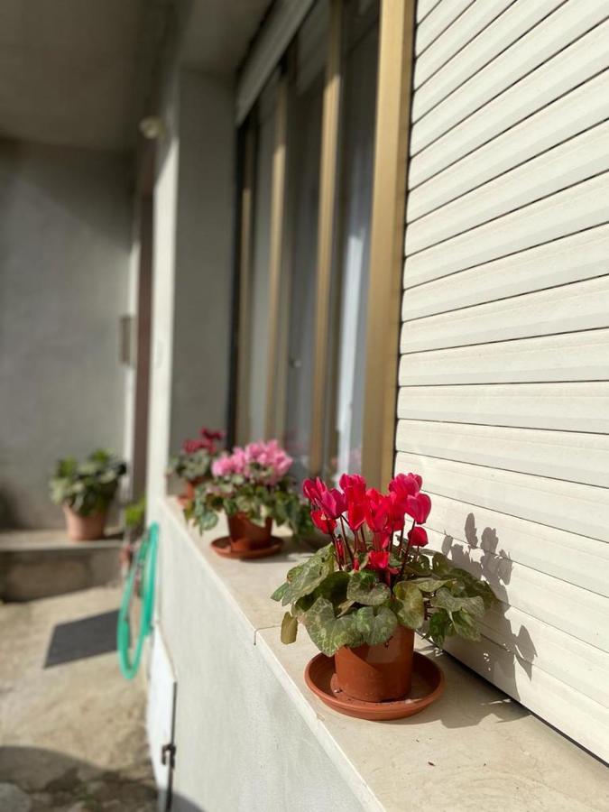 Domuspes Sedilo Exterior foto